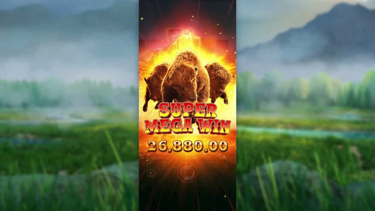 Nuansa Padang Liar yang Bikin Main Makin Enjoy di Buffalo Win